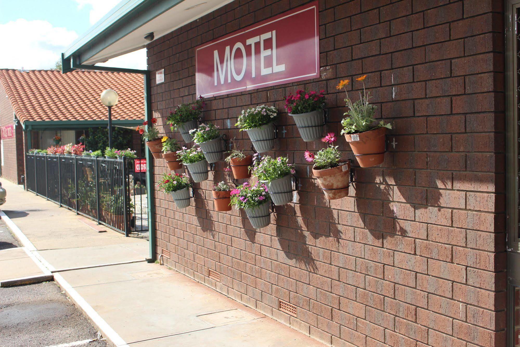 Pavlos Motel Ingle Farm Ngoại thất bức ảnh